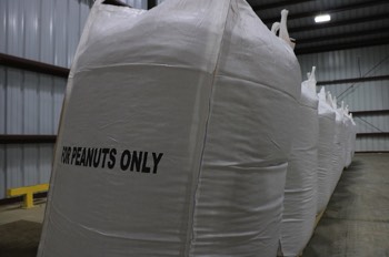 Depending on grading, peanuts will be used for human consumption, seed or animal feed.