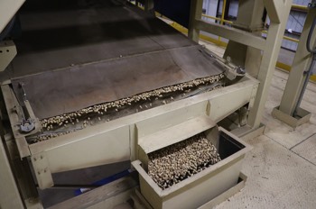 Peanuts run through seveal different systems to remove debris.