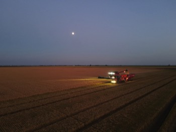The harvest continues into the night to avoid the threat of bad weather later in the week.